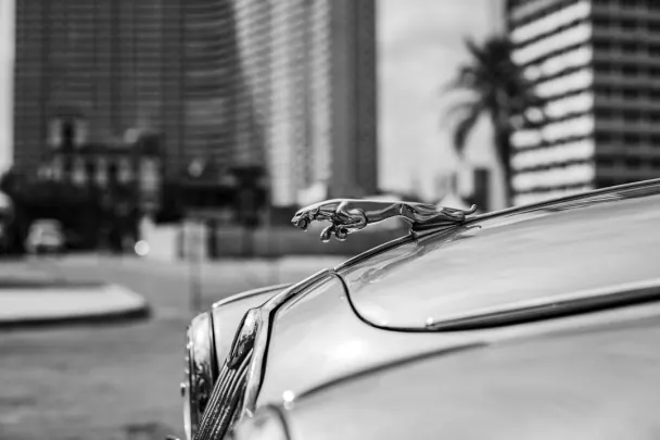 Kasyno Golden Reels Aplikacja Android/iOS